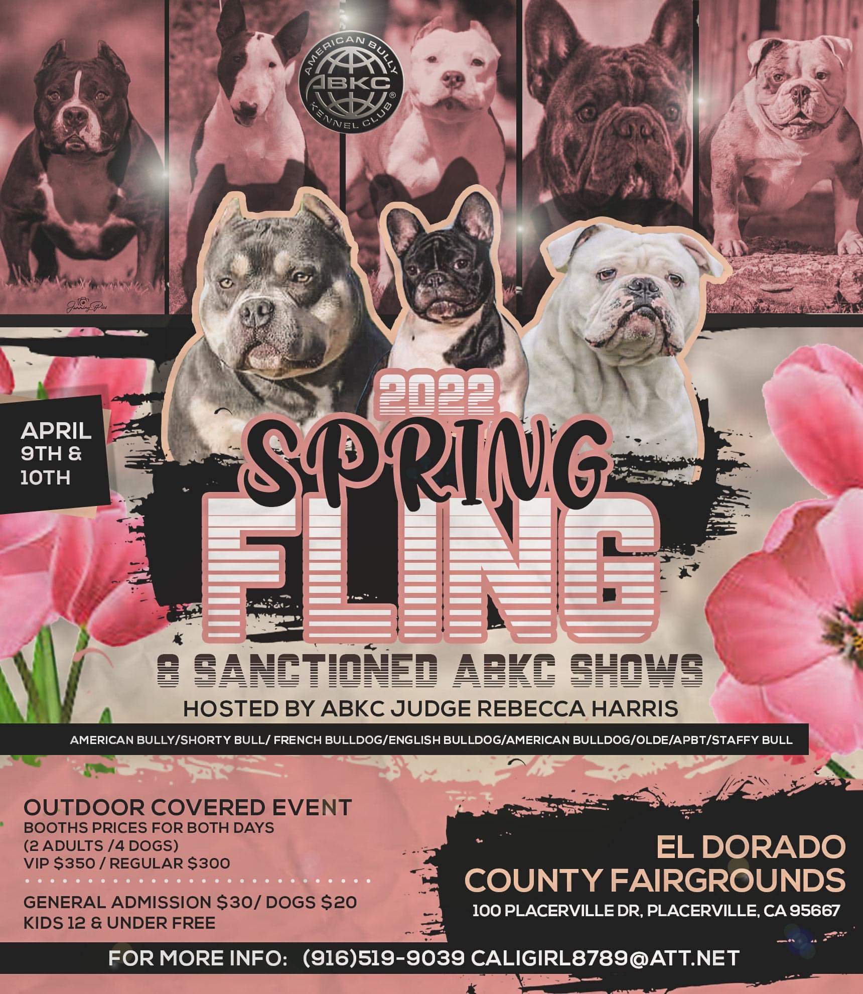 Events from October 14 – August 24, 2024 – THE AMERICAN BULLY KENNEL CLUB