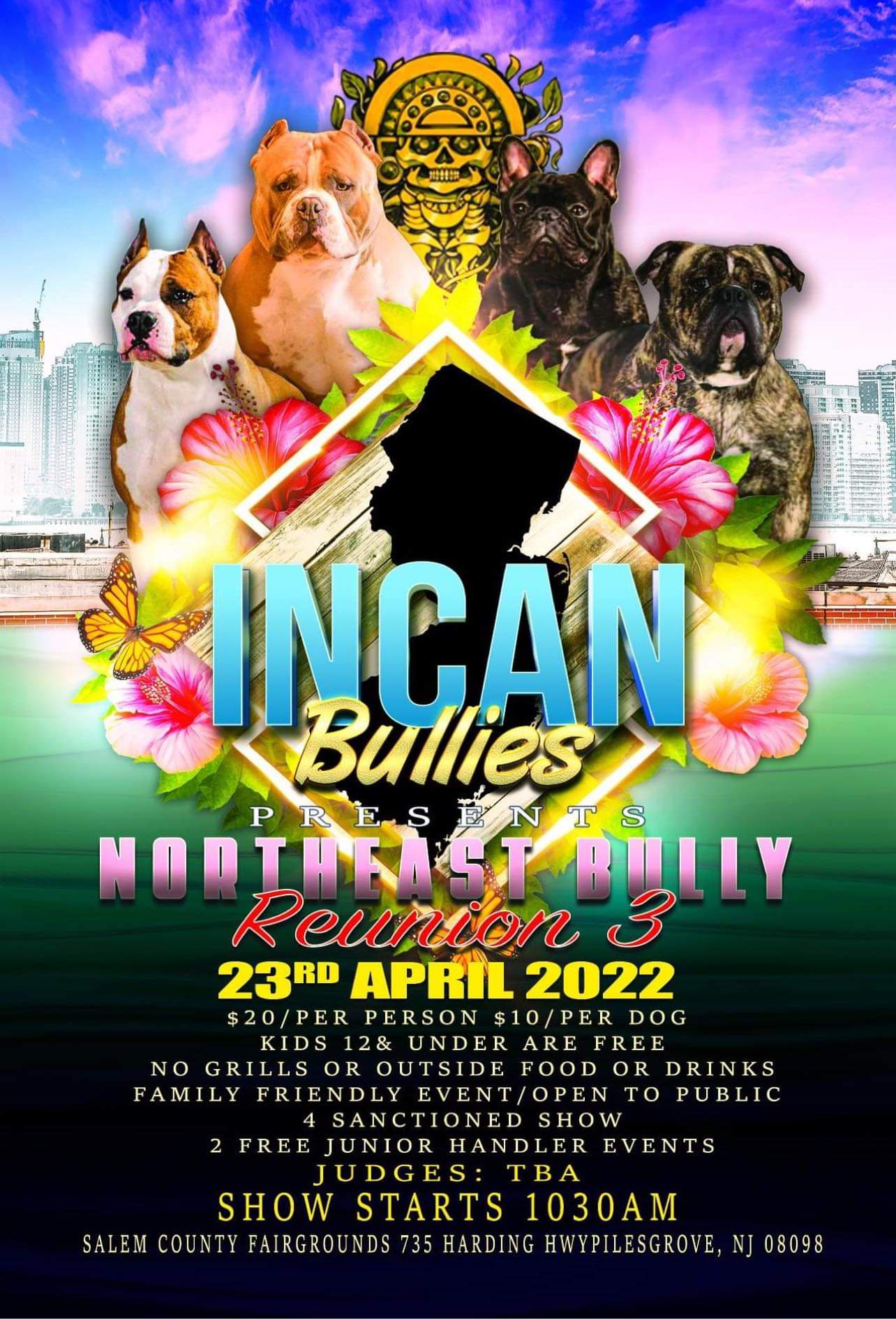American Bullys 'clash' at first ever AFBR Bully Exhibition Show 2023 