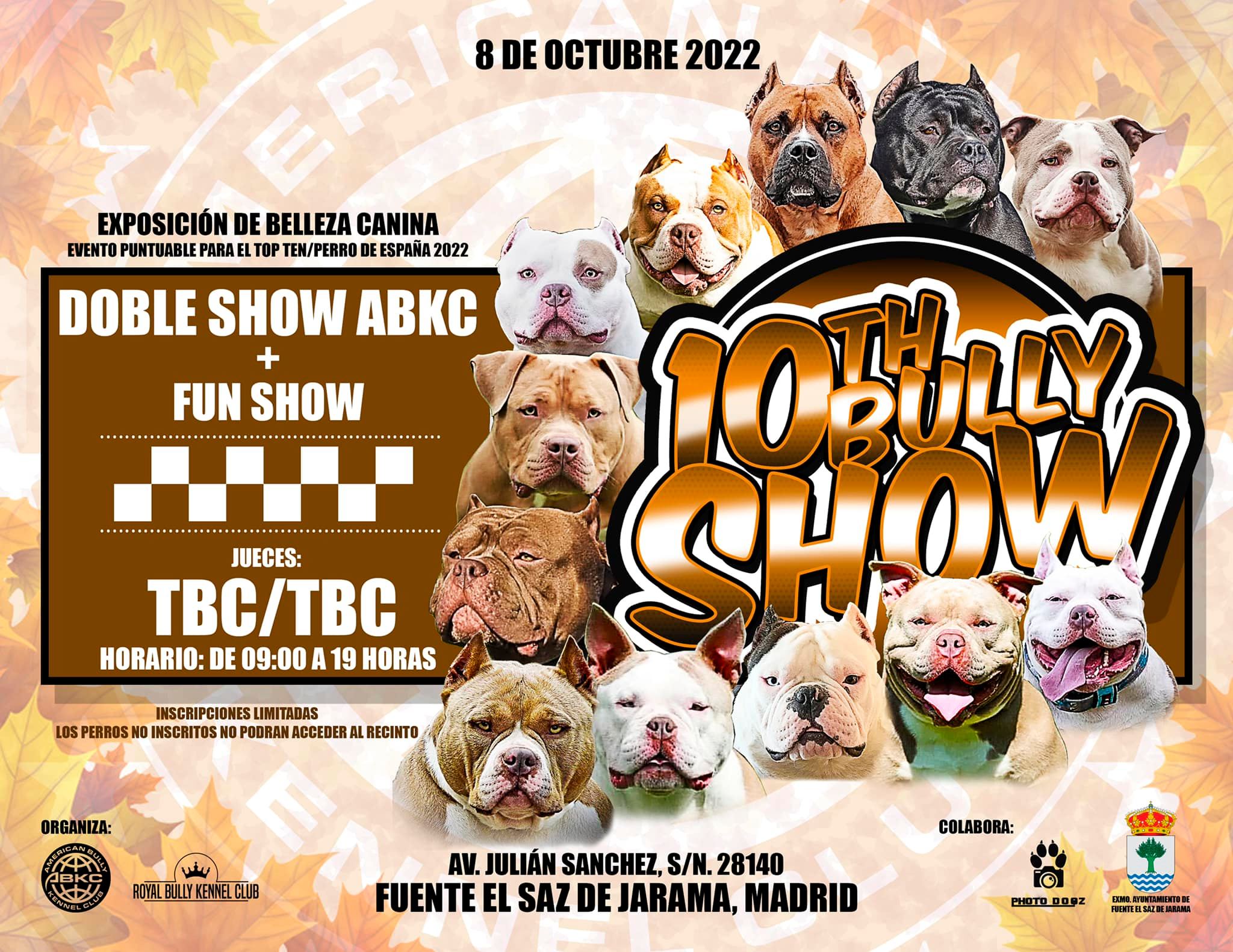 ABKC Nationals 2023, ABKC, UKC, East Coast dog events, Southern dog shows,  American Bully, French Bulldog