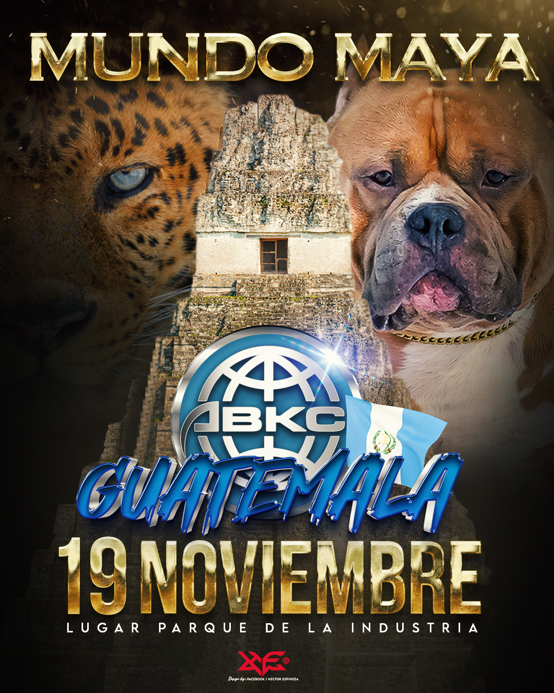 Events from November 11 – August 12 – Page 3 – THE AMERICAN BULLY